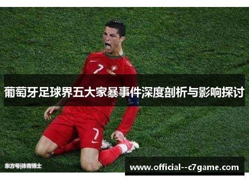 葡萄牙足球界五大家暴事件深度剖析与影响探讨